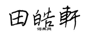 王正良田皓轩行书个性签名怎么写