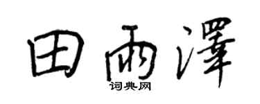 王正良田雨泽行书个性签名怎么写