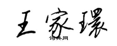 王正良王家环行书个性签名怎么写