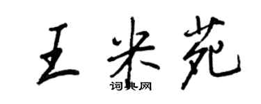 王正良王米苑行书个性签名怎么写