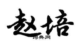胡问遂赵培行书个性签名怎么写