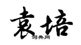 胡问遂袁培行书个性签名怎么写