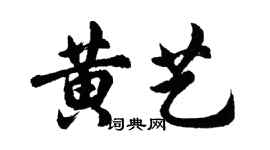 胡问遂黄艺行书个性签名怎么写
