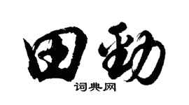 胡问遂田劲行书个性签名怎么写