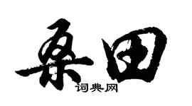 胡问遂桑田行书个性签名怎么写