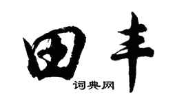胡问遂田丰行书个性签名怎么写