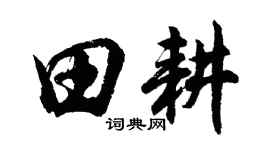 胡问遂田耕行书个性签名怎么写