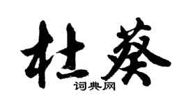 胡问遂杜葵行书个性签名怎么写