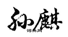 胡问遂孙麒行书个性签名怎么写