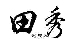 胡问遂田秀行书个性签名怎么写