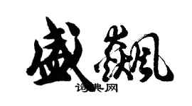 胡问遂盛飙行书个性签名怎么写