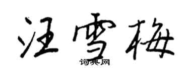 王正良汪雪梅行书个性签名怎么写