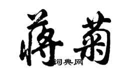 胡问遂蒋菊行书个性签名怎么写