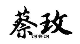 胡问遂蔡玫行书个性签名怎么写