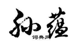胡问遂孙蕴行书个性签名怎么写