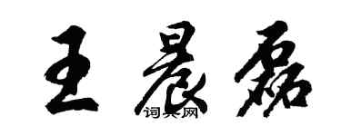 胡问遂王晨磊行书个性签名怎么写
