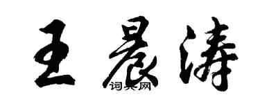 胡问遂王晨涛行书个性签名怎么写