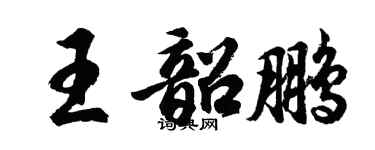 胡问遂王韶鹏行书个性签名怎么写