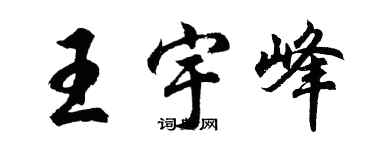 胡问遂王宇峰行书个性签名怎么写