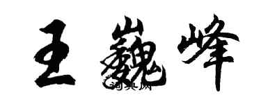 胡问遂王巍峰行书个性签名怎么写
