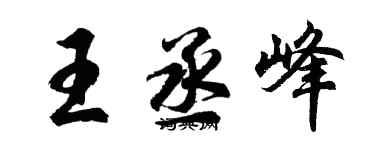 胡问遂王丞峰行书个性签名怎么写