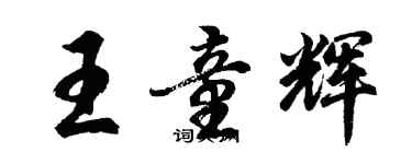 胡问遂王童辉行书个性签名怎么写