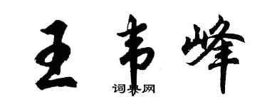 胡问遂王韦峰行书个性签名怎么写
