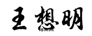 胡问遂王想明行书个性签名怎么写