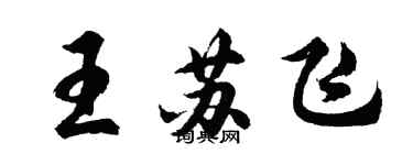 胡问遂王苏飞行书个性签名怎么写