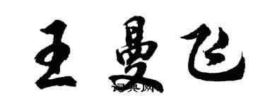 胡问遂王曼飞行书个性签名怎么写