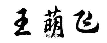 胡问遂王萌飞行书个性签名怎么写