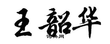 胡问遂王韶华行书个性签名怎么写