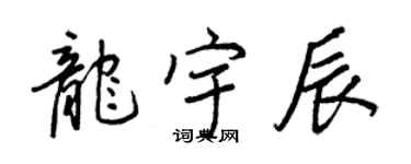 王正良龙宇辰行书个性签名怎么写