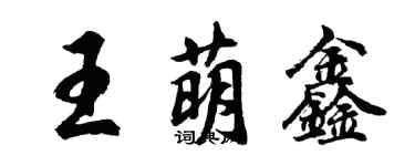 胡问遂王萌鑫行书个性签名怎么写
