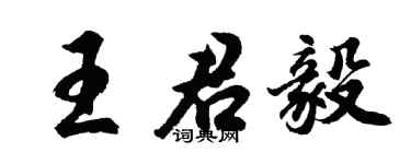 胡问遂王君毅行书个性签名怎么写