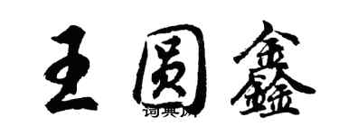 胡问遂王圆鑫行书个性签名怎么写