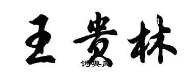 胡问遂王贵林行书个性签名怎么写