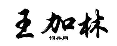 胡问遂王加林行书个性签名怎么写