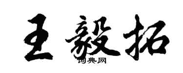 胡问遂王毅拓行书个性签名怎么写