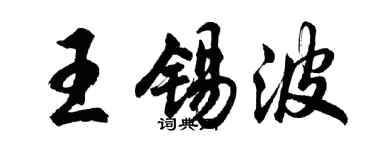 胡问遂王锡波行书个性签名怎么写