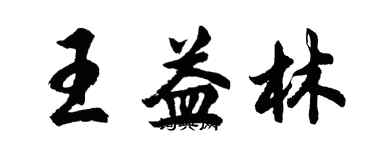 胡问遂王益林行书个性签名怎么写