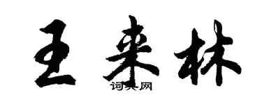 胡问遂王来林行书个性签名怎么写