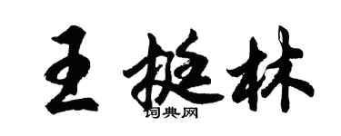 胡问遂王挺林行书个性签名怎么写