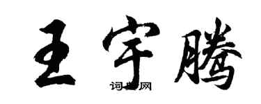 胡问遂王宇腾行书个性签名怎么写