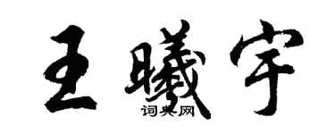胡问遂王曦宇行书个性签名怎么写