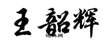 胡问遂王韶辉行书个性签名怎么写