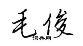 王正良毛俊行书个性签名怎么写