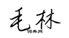 王正良毛林行书个性签名怎么写