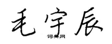 王正良毛宇辰行书个性签名怎么写