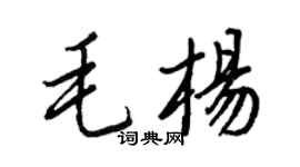 王正良毛杨行书个性签名怎么写